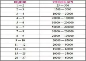 Уровень ХГЧ
