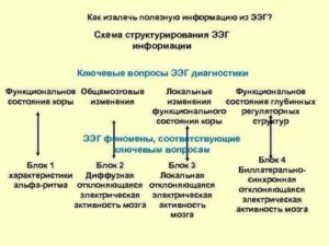 Расшифровка ээг: дизритмические изменения общемозгового характера