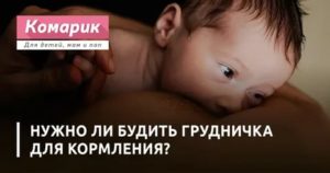 Нужно ли будить ребёнка ночью в туалет