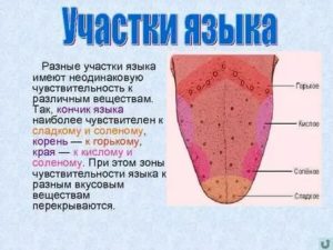 Потеря чувствительности языка к соленому и сладкому