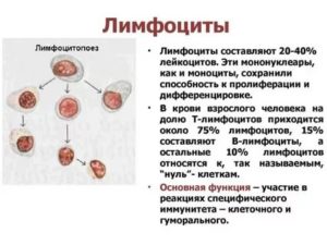 Увеличенные лимфоузлы и лимфоциты
