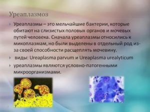 Может ли уреаплазмоз пройти без лечения?