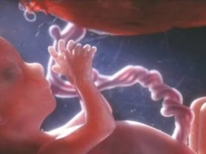 Не чувствую шевеления ребенка. 21 неделя. Беременности