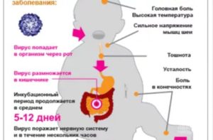 Ревакцинация полиомиелита после болезни