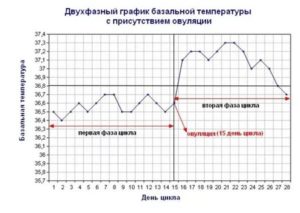 Температура тела при зачатии