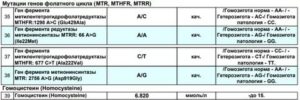 Мутации в генах фолатного цикла