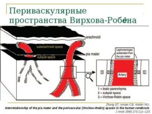 Периваскулярные пространства