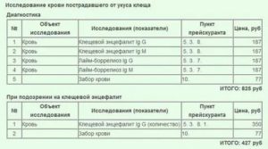 Интерпретация анализа крови на клещевой энцефалит