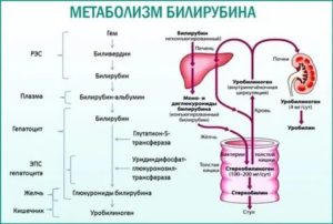 Повышенный билирубин и операция