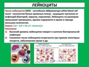 Низкие лейкоциты в крови