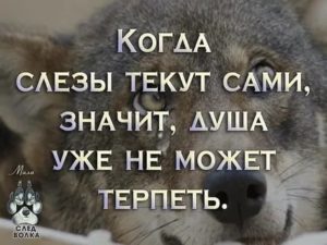 Слёзы не текут