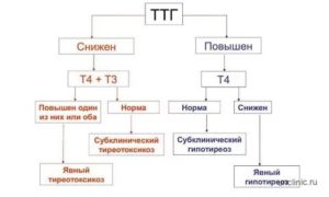 Повышенный уровень ТТГ