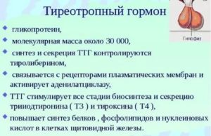 ТТГ Повышен