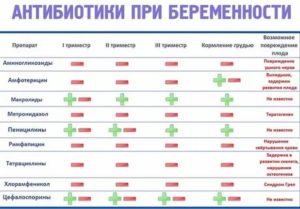 Как быстро можно планировать беременность после приема антибиотика