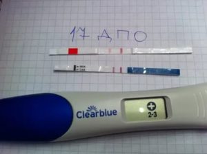 Тест на беременность после постинора