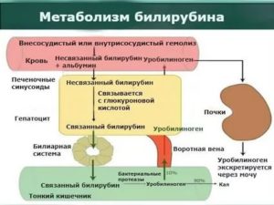 Повышенный билирубин и операция