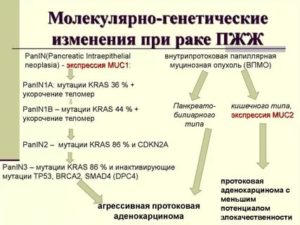 Генетический анализ на наследственный рак желудка