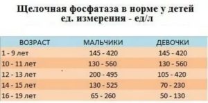 Повышена щелочная фосфотаза в 1,5 раза у подростка