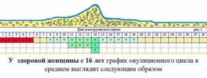 Месячные начались на 12 день цикла - причина?