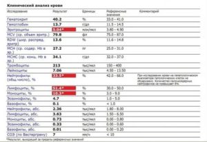 Температура при нормальном анализе крови