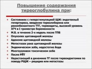 Тиреоглобулин повышен