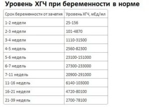 Может ли анализ хгч, показать беременность до задержки