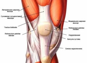 Связка надколенника