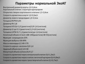 Расшифровка результата ЭхоКг