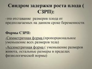 СЗРП плода