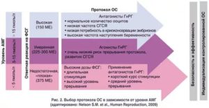 Стимуляция овуляции при низком амг