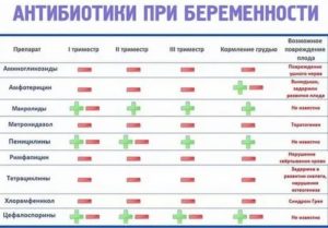 Можно ли пить антибиотики при похудении