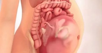 Тонус матки на 29 неделе беременности Тонус матки на 29 неделе беременности