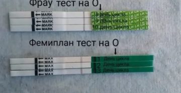 Беременность на 7 день цикла