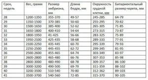 Вес плода на 31-32 недели