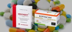 Можно ли смешивать Мексидол и Кортексин?
