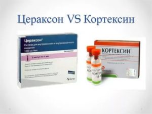 Прием Кортексина и Цераксона (в/м ниъекции)