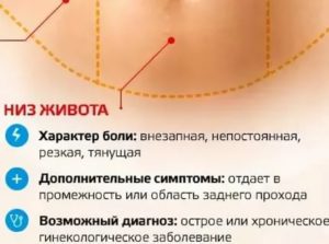 Тянет вечером низ живота