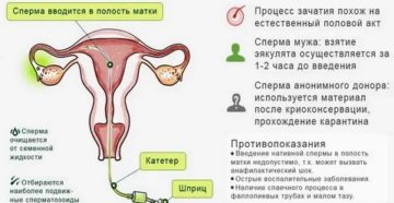 Вероятность забеременеть от остатков сперматозоидов