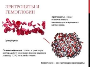 Тиреодит и гемоглобин