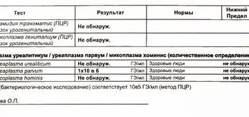 Повторный анализ ПЦР на хламидии Повторный анализ ПЦР на хламидии