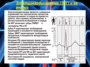 Срок годности ЭКГ с нагрузкой