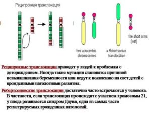Сбалансированная реципрокная транслокация между хромосомами 11 и 12