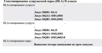 Результаты hla типирования - помогите расшифровать