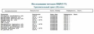 Расшифровка анализа ПЦР