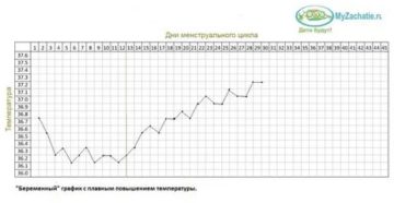 Беременность в конце цикла