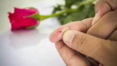 Ребенок уколол палец шипом розы