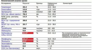 Лимфоциты эритроциты повышены