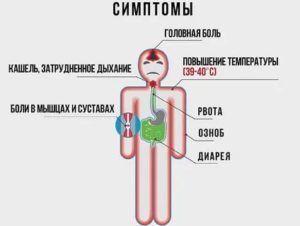 Головная боль и температура 37-37,4