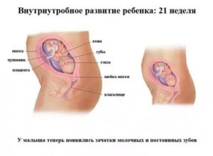 Не чувствую шевеления ребенка. 21 неделя. Беременности