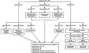 Т4 свободный понижен при нормальном ттг